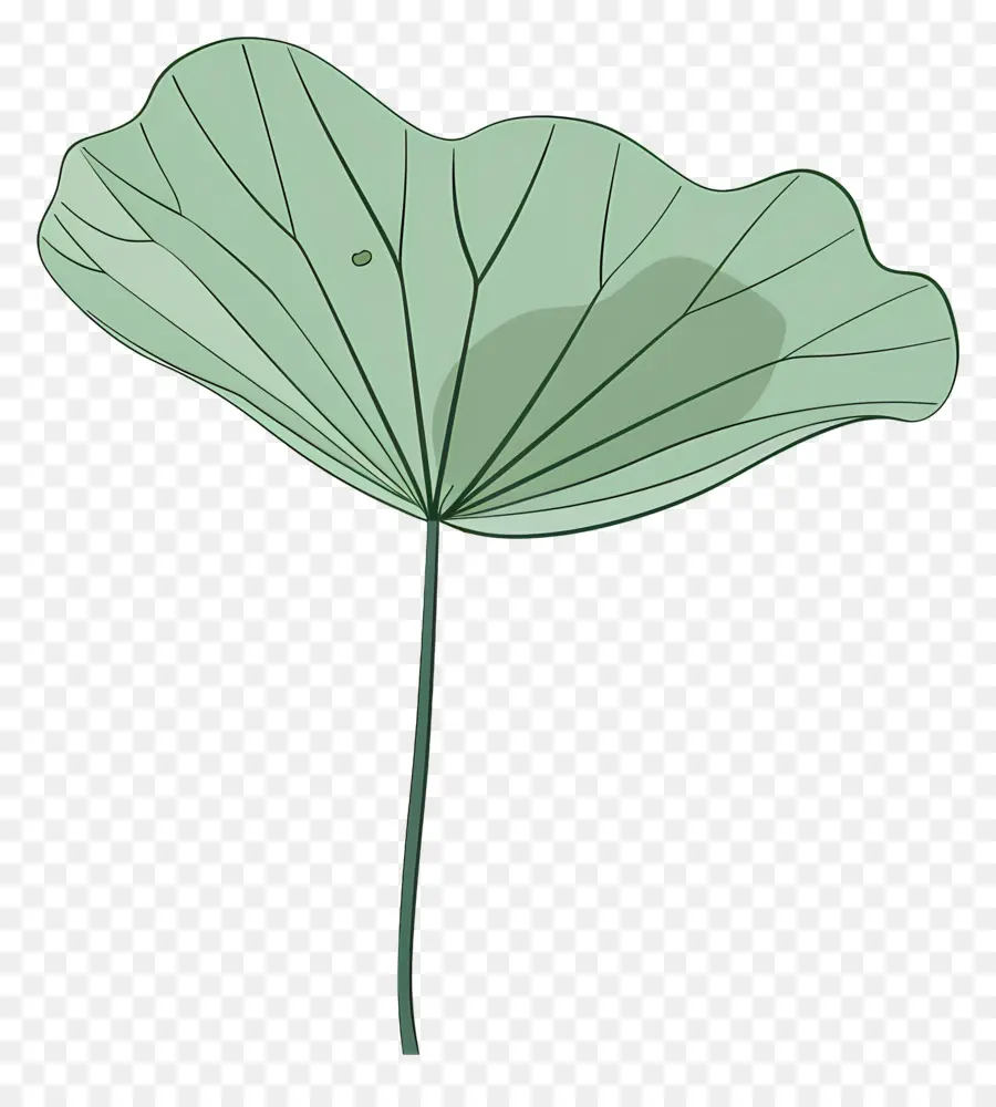 Folha De Lótus，Flor De Lótus PNG