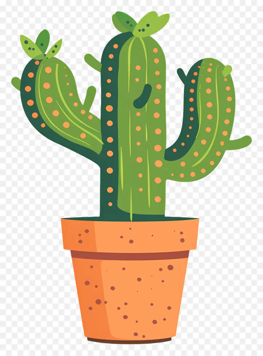 Cactus，Planta Do Cacto PNG