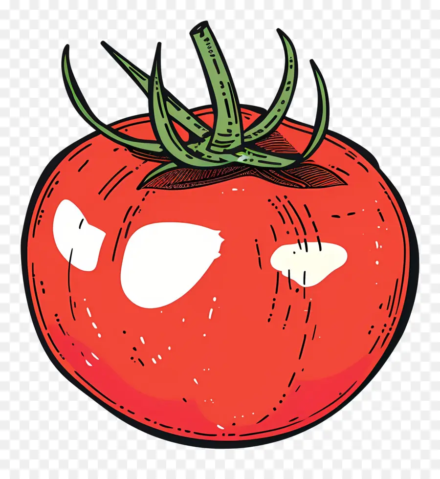 Tomate，Frutas PNG