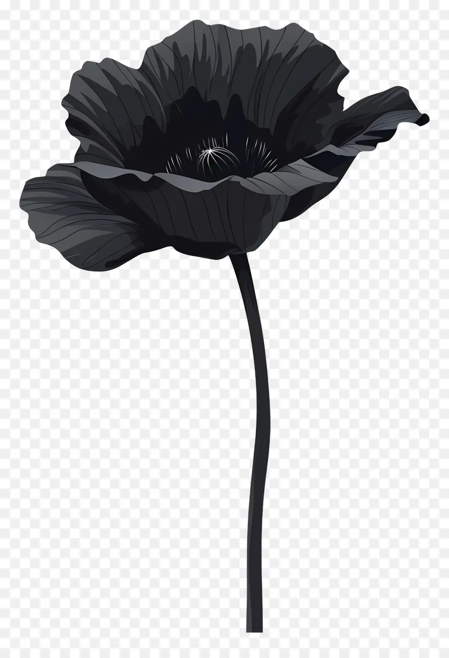 Flor Com Haste，Flor De Papoula Preta PNG