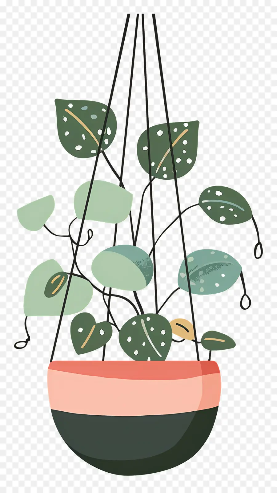 Plantas Penduradas，Recipiente De Planta Pendurada PNG