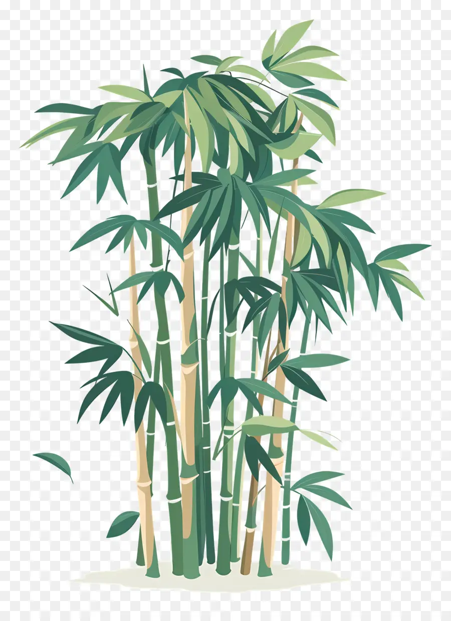 Bambu，Plantas De Bambu PNG