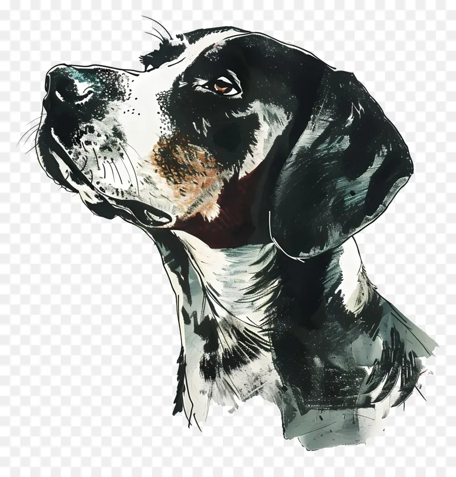 Cachorro，Preto E Branco Pintura PNG