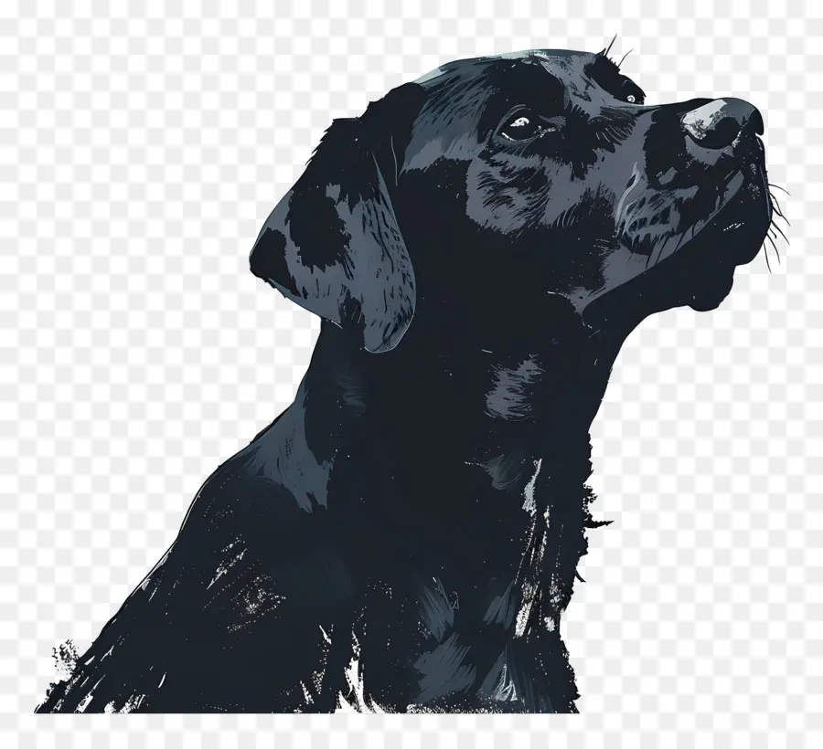 Cachorro，Cão Preto PNG