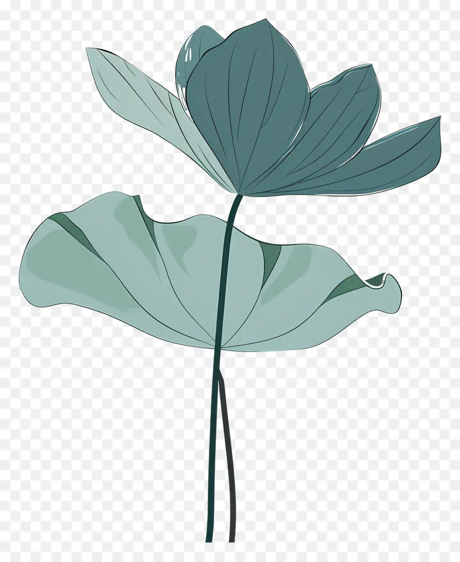 Folha De Lótus，Flor De Lótus PNG