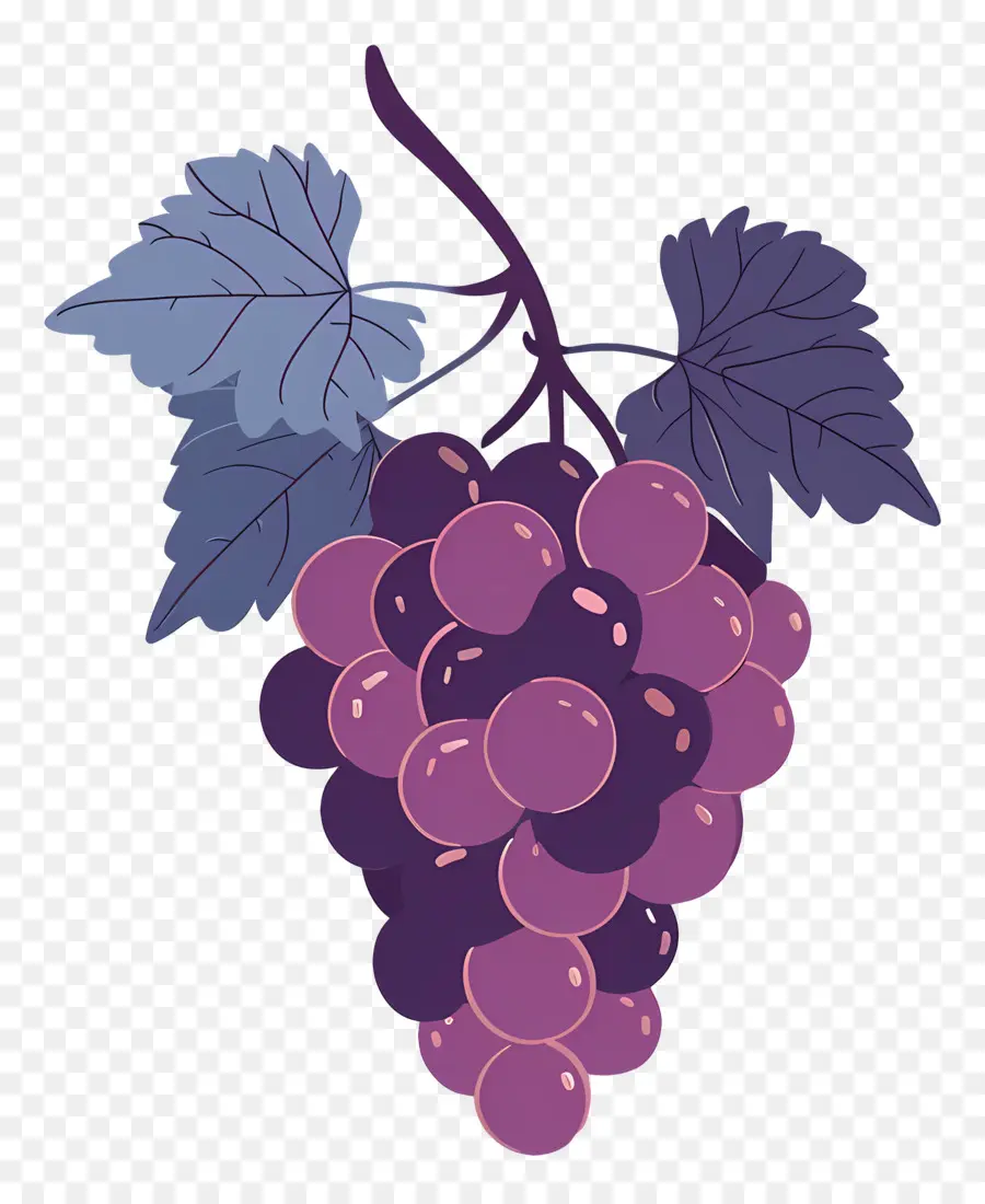 Uva，Uvas PNG