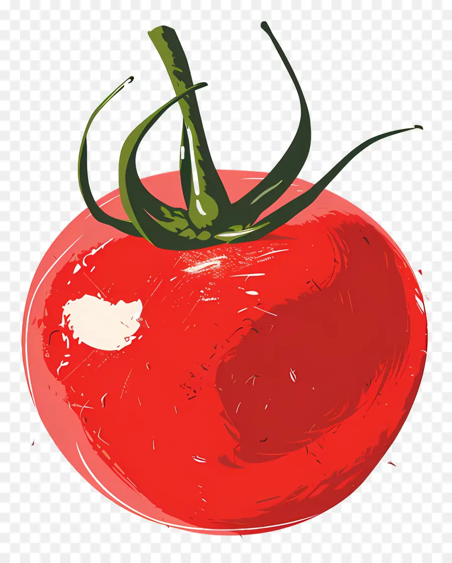 Tomate，Vermelho PNG