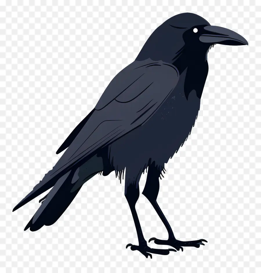 Crow，Preto PNG