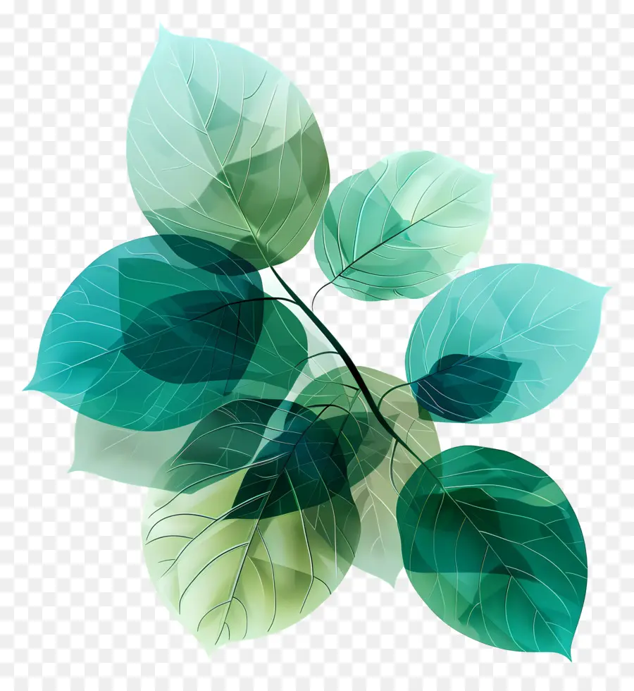 Folhas Verdes，Natureza PNG