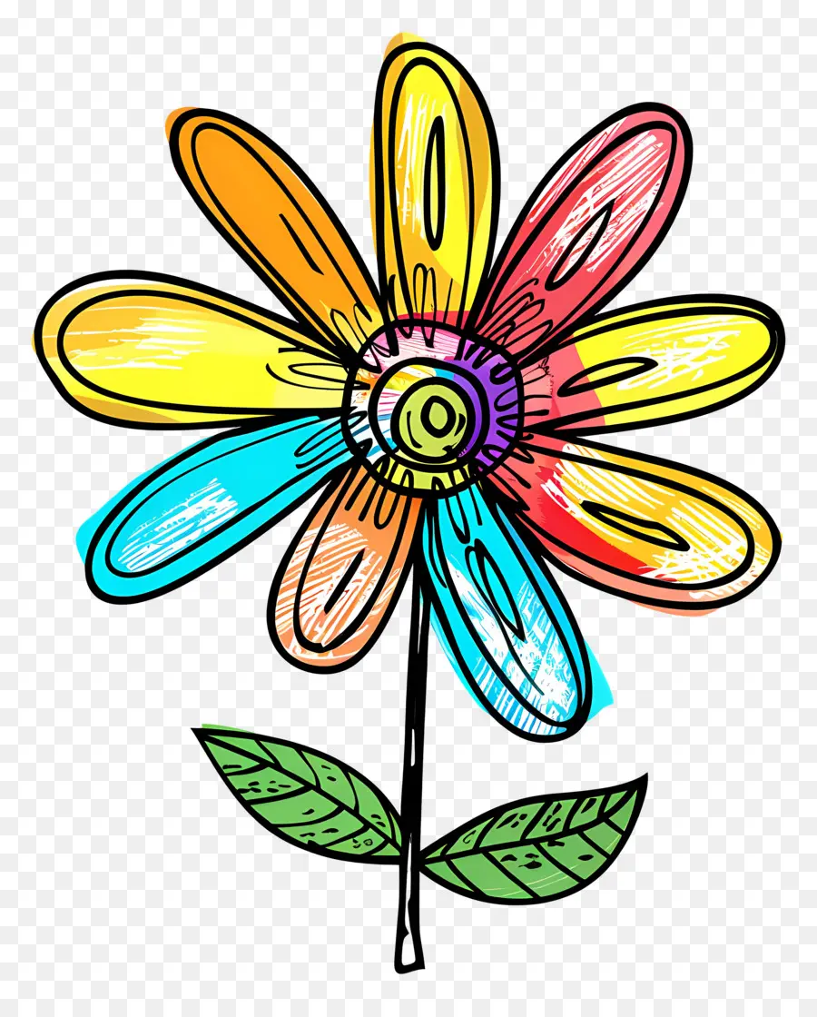 Flor，Flor Colorida PNG