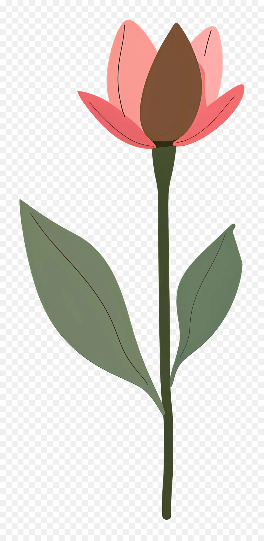 Botão De Lótus，Flor PNG