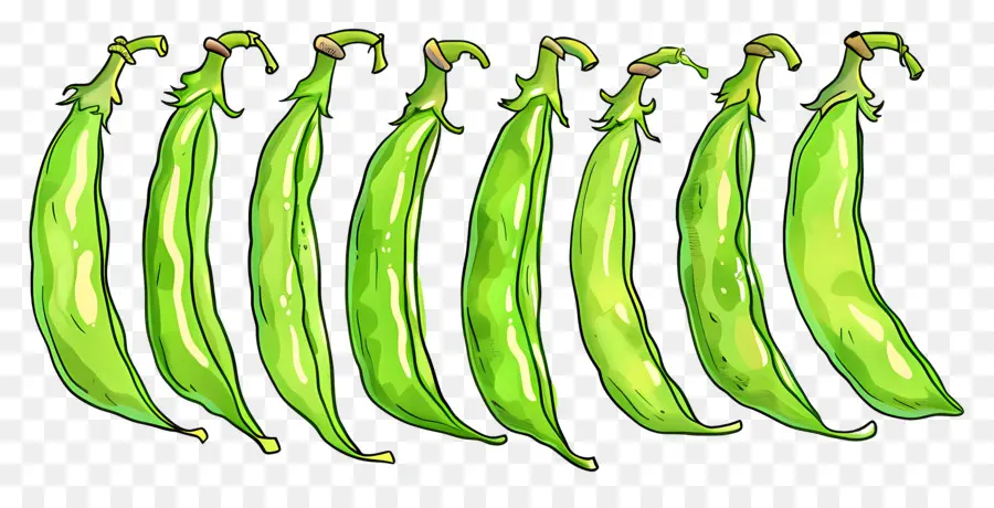 Vagens，Bananas Verdes PNG