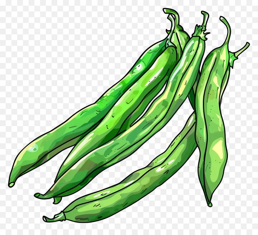 Feijão Verde，Beans PNG