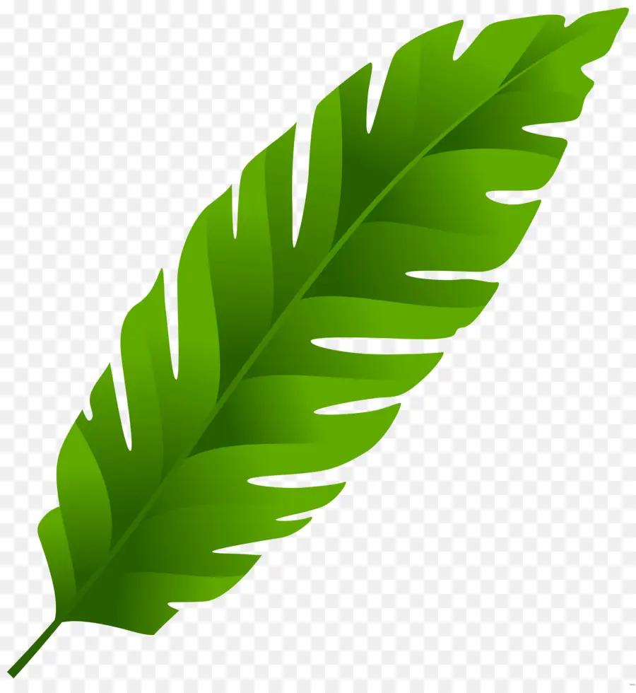 Folhas Verdes，Planta Verde PNG