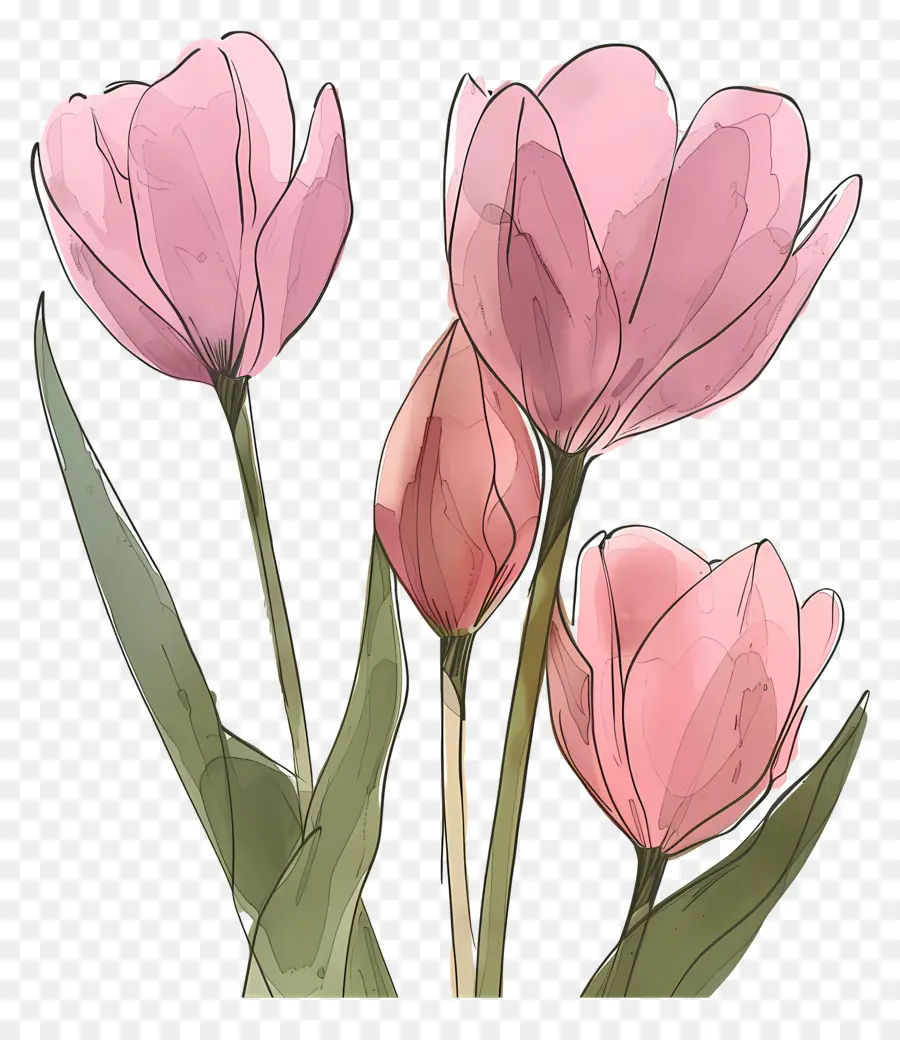 Tulipas Cor De Rosa，Flor Vermelha PNG