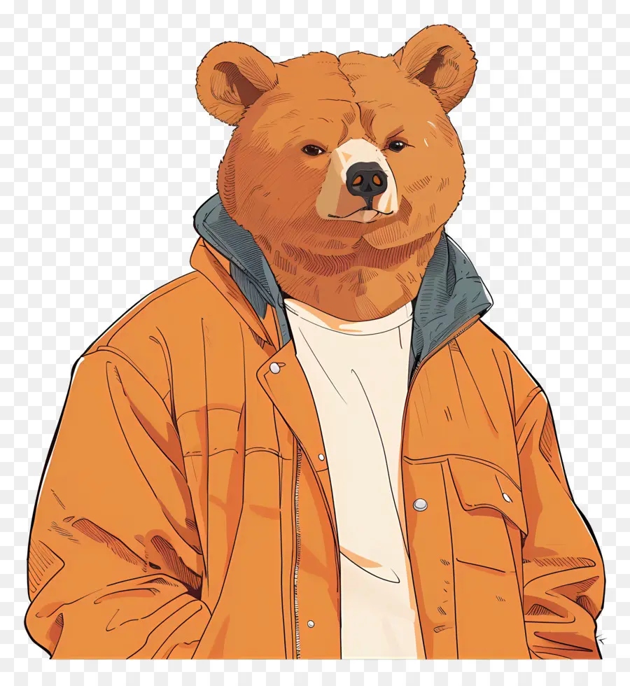 Urso，Urso Em Uma Jaqueta PNG