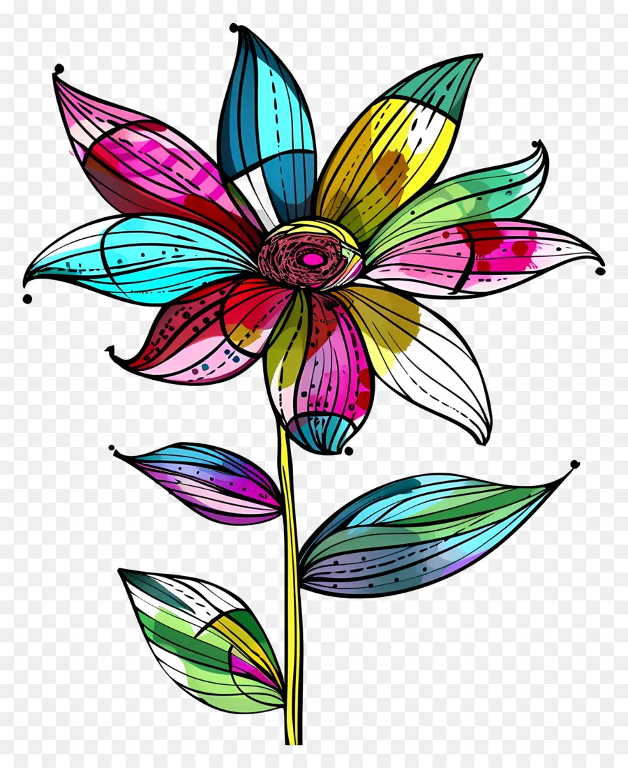 Flor，Flor Colorida PNG