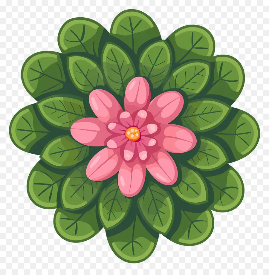 Flor Rosa，Folhas Verdes PNG