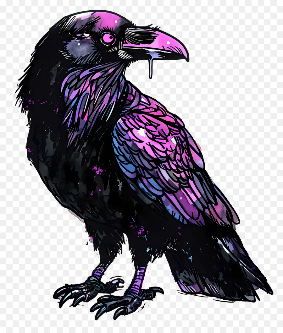 Raven，Aves PNG