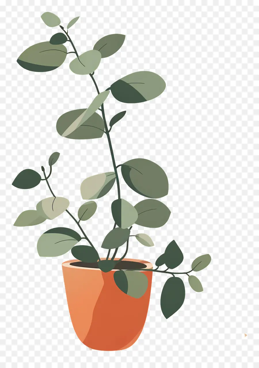 Planta De Casa Ondulada，Planta De Vaso PNG