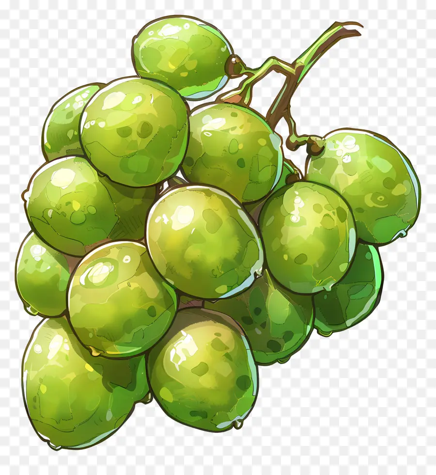 Uvas Verdes，Uvas PNG