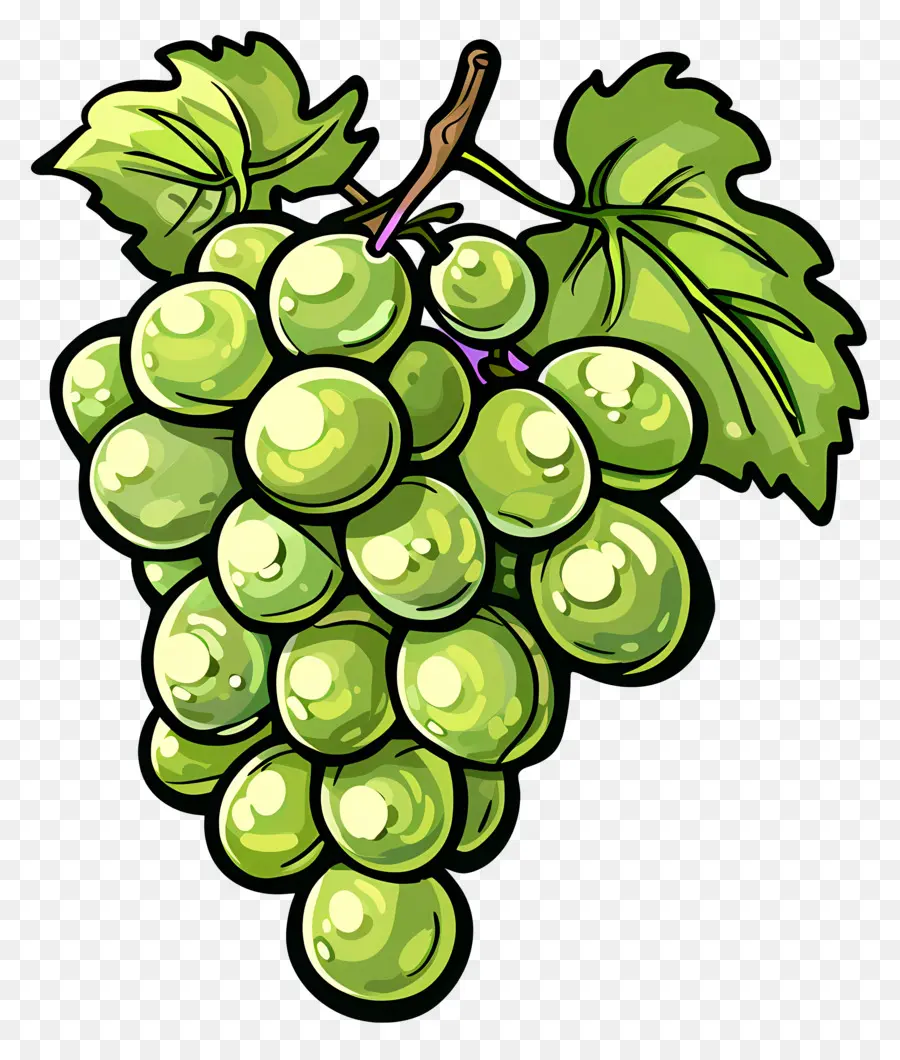 Uvas Verdes，Videira PNG