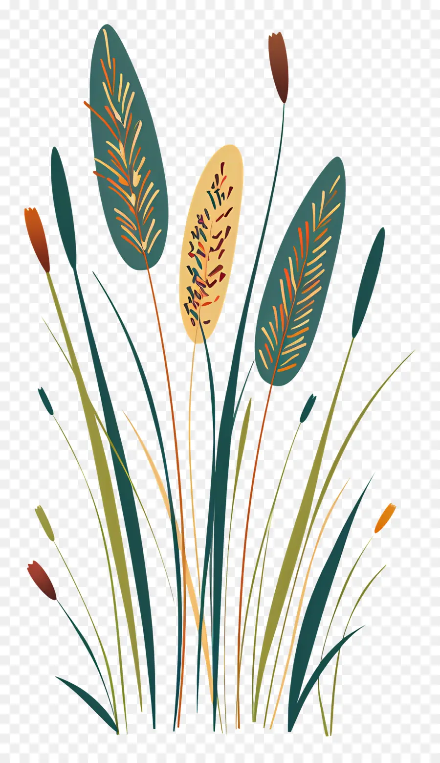 Timothy Grass，Plantas PNG