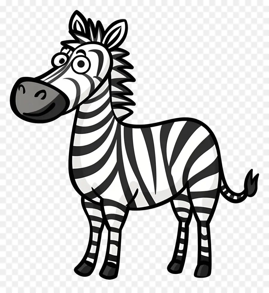 Zebra De Desenho Animado，Zebra PNG