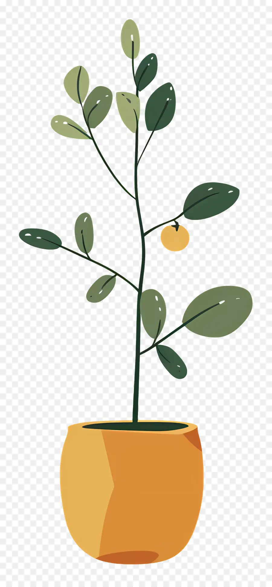 Planta De Casa Ondulada，Planta De Vaso PNG