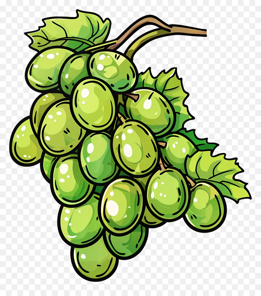 Uvas Verdes，Videira PNG