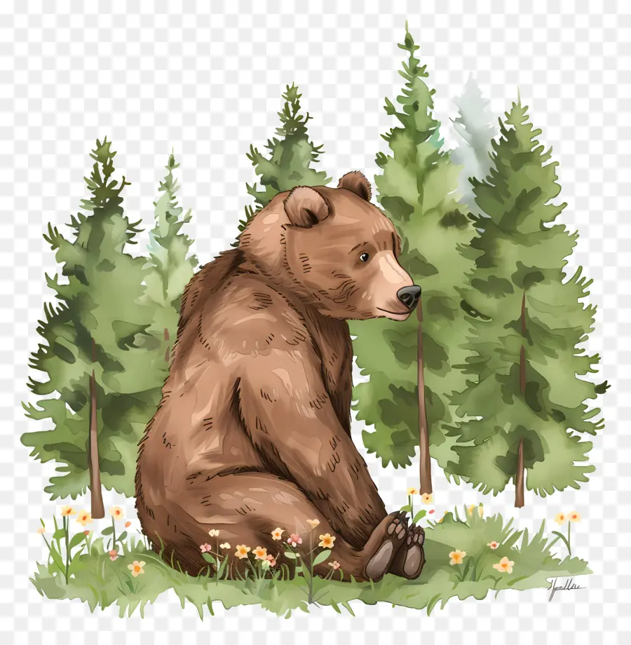 Urso Na Floresta，Urso Pardo PNG