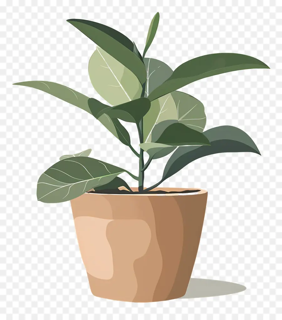 Um Vaso De Planta，Planta De Vaso PNG