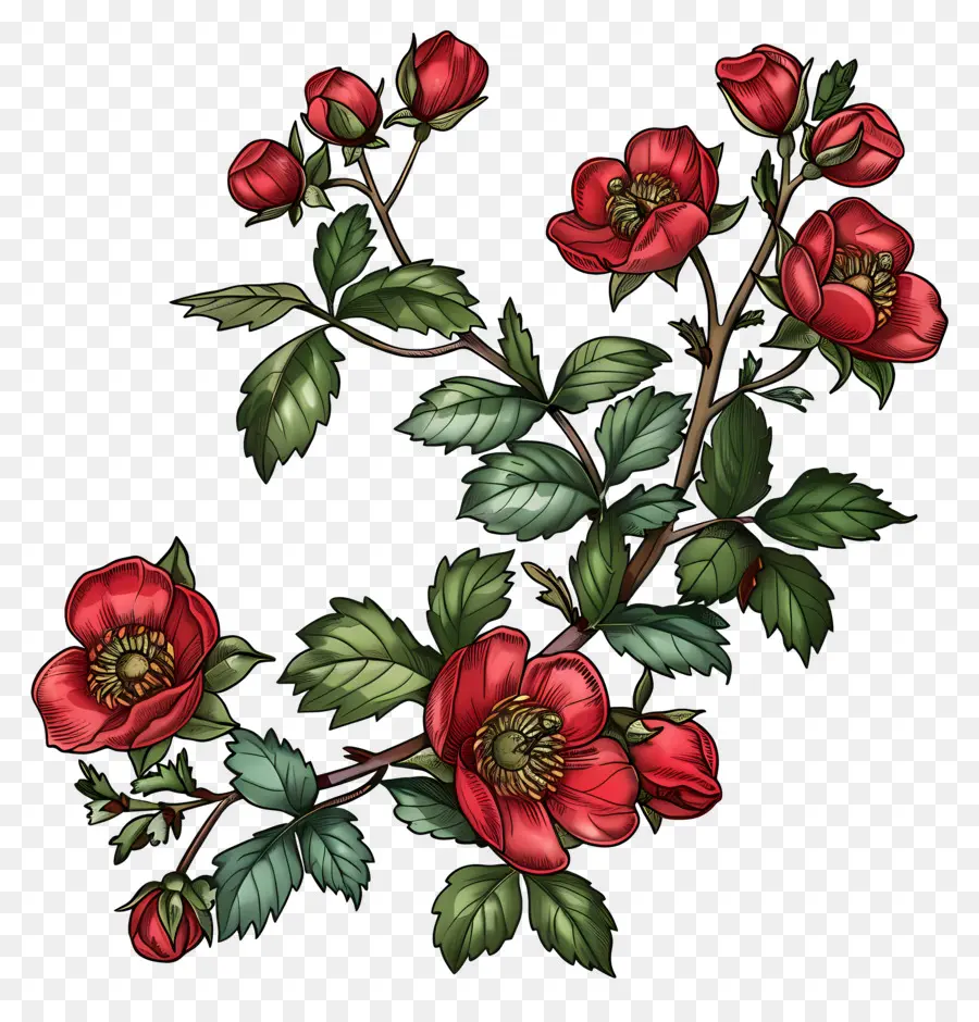 Flores De Rosehip，Flores Vermelhas PNG