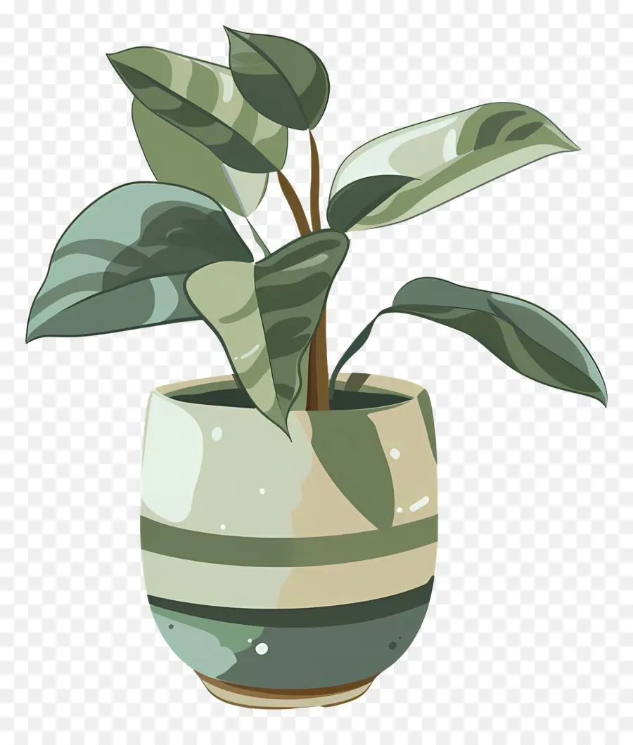 Um Vaso De Planta，Planta De Vaso PNG