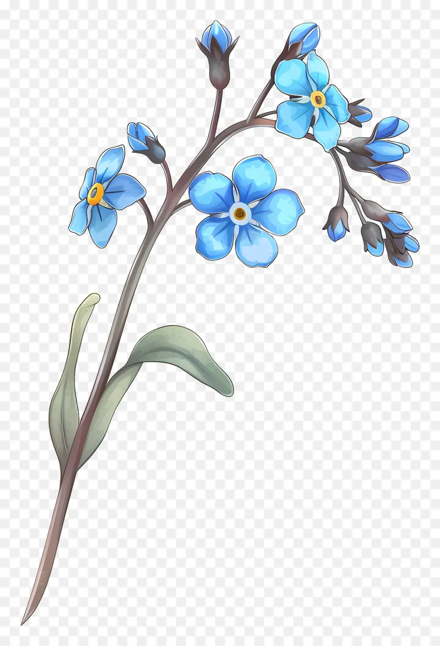 Não Te Esqueças De Mim，Flores Azuis PNG