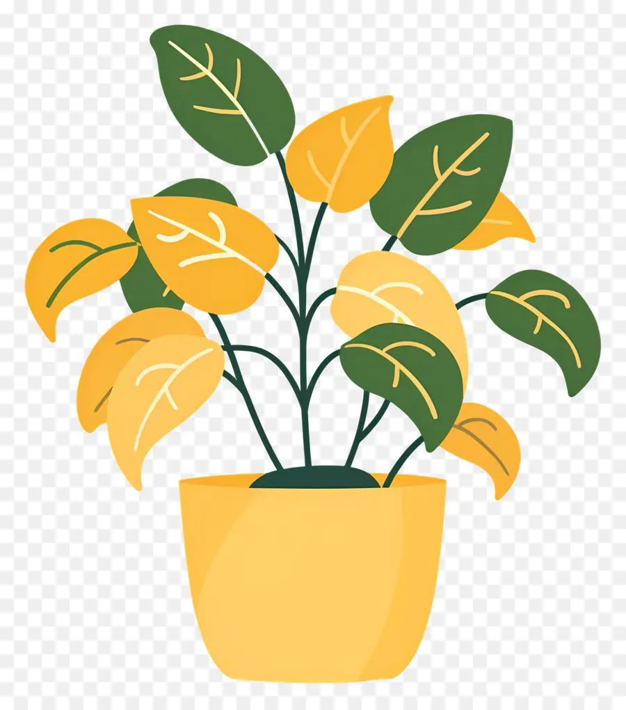 Planta De Casa Ondulada，Planta De Floração Amarela PNG