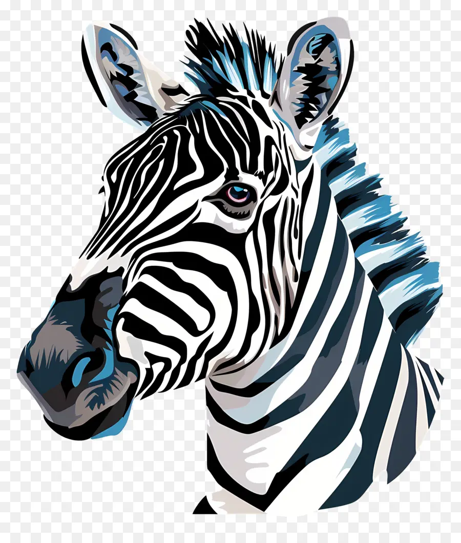 Zebra，Listras PNG