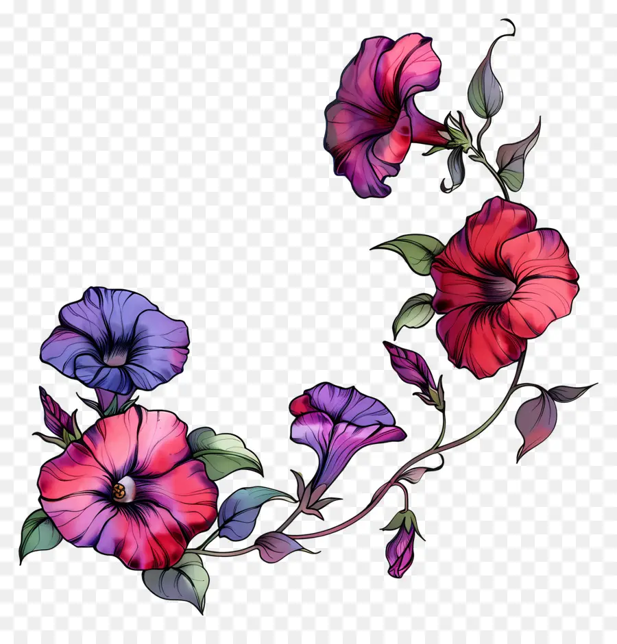 Flores De Petúnia，Flores Coloridas PNG