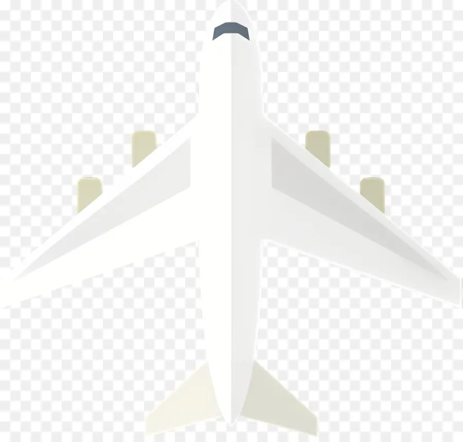 Avião，Voo PNG