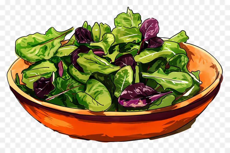 Salada Verde，Tigela De Salada PNG