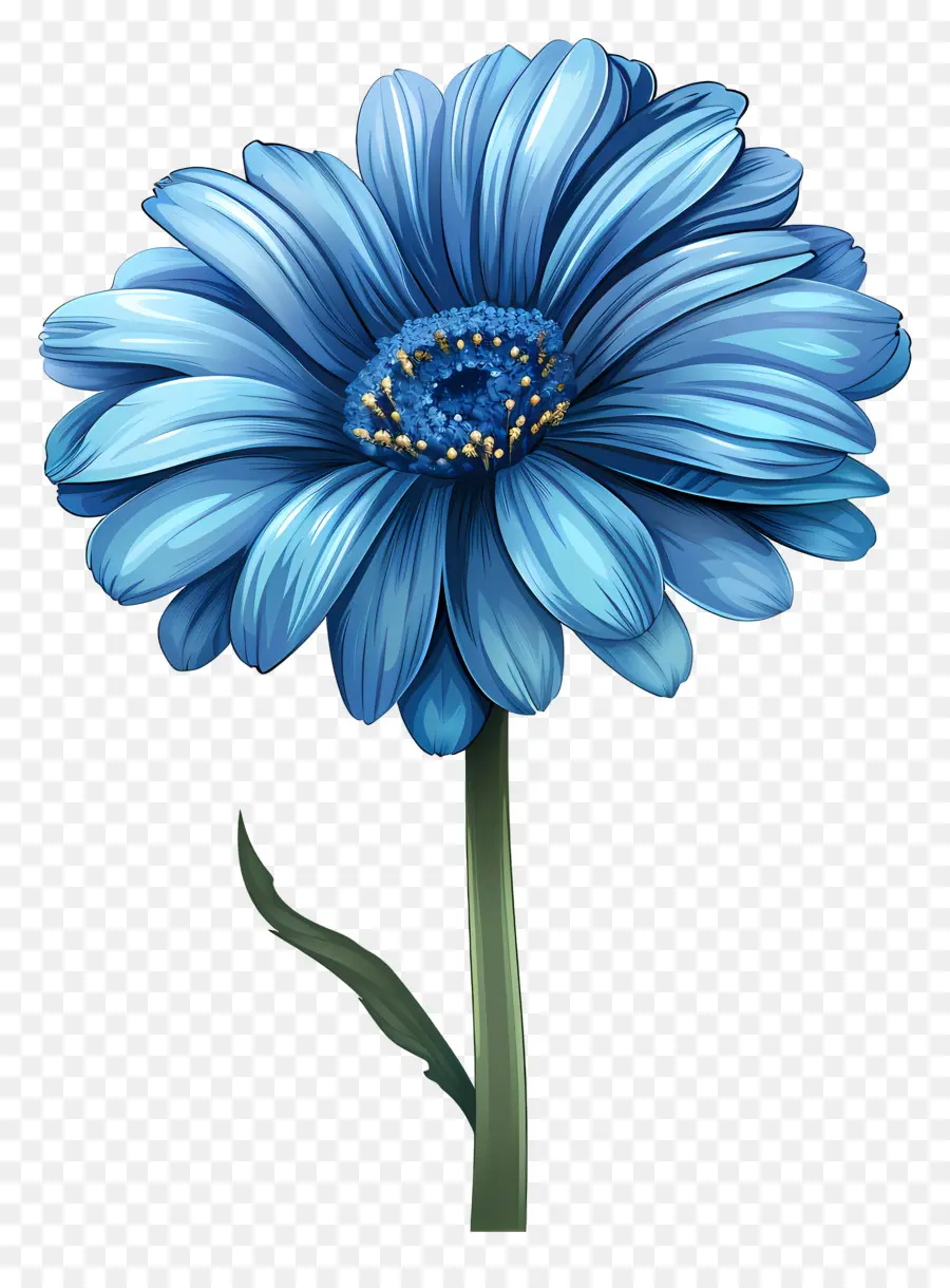 Gérbera Azul，Flor Azul PNG