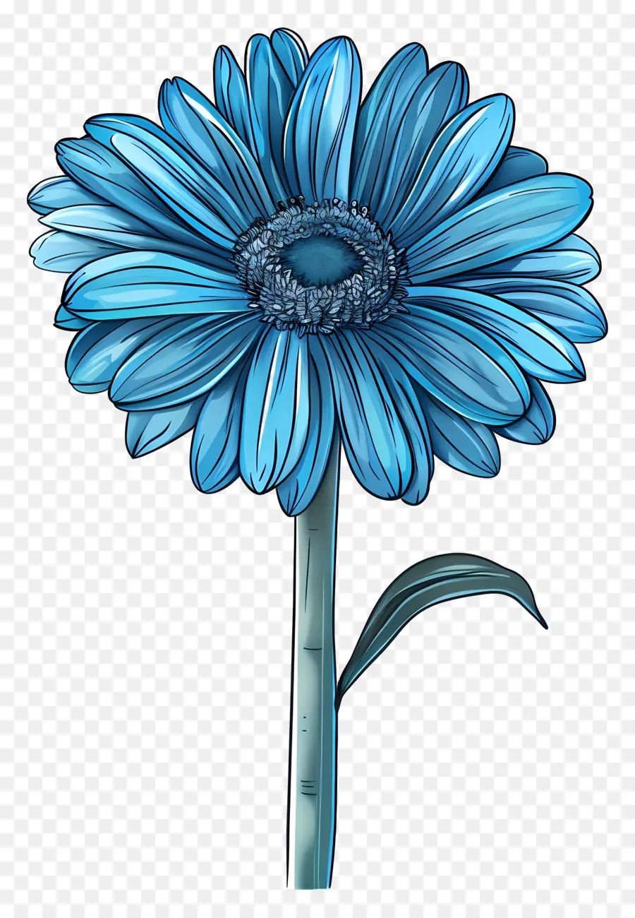 Gerbera Azul，Flor Azul PNG