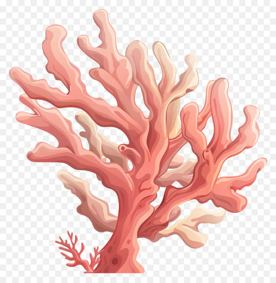 Branqueamento De Coral，Coral Vermelho PNG