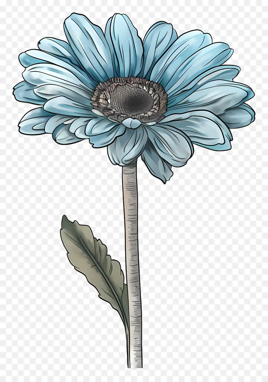 Gérbera Azul，Flor Azul PNG