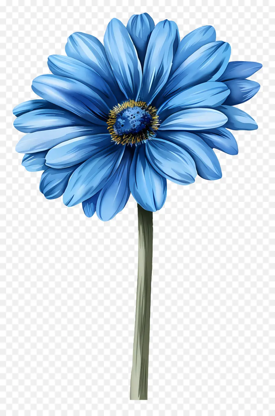 Gérbera Azul，Flor Azul PNG