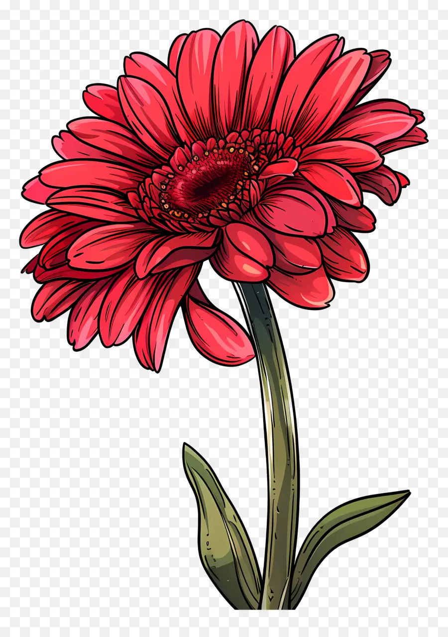 Gerbera Vermelho，Flor Vermelha PNG