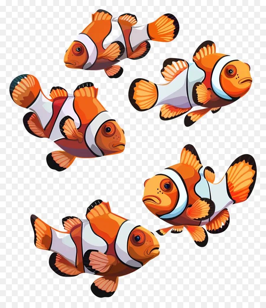 Peixe Palhaço，Marinho PNG