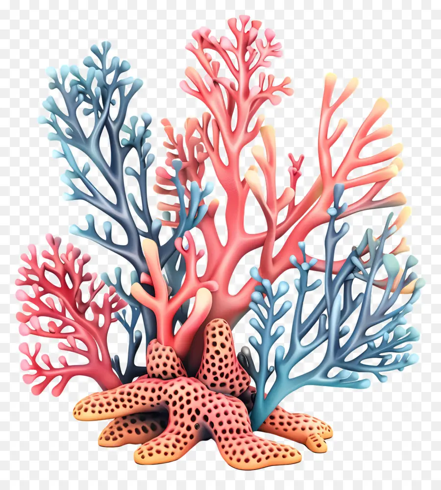 Branqueamento De Coral，Coral PNG