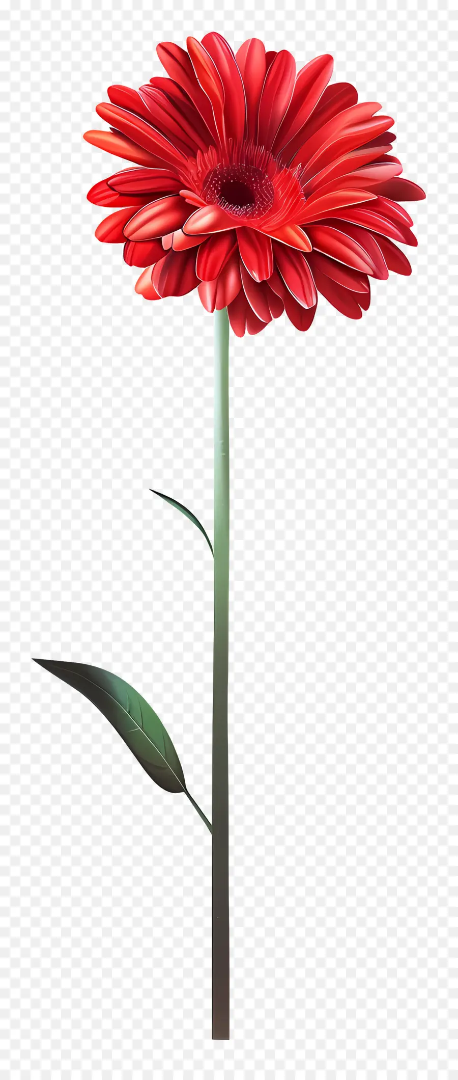 Gérbera Vermelha，Flor Vermelha PNG