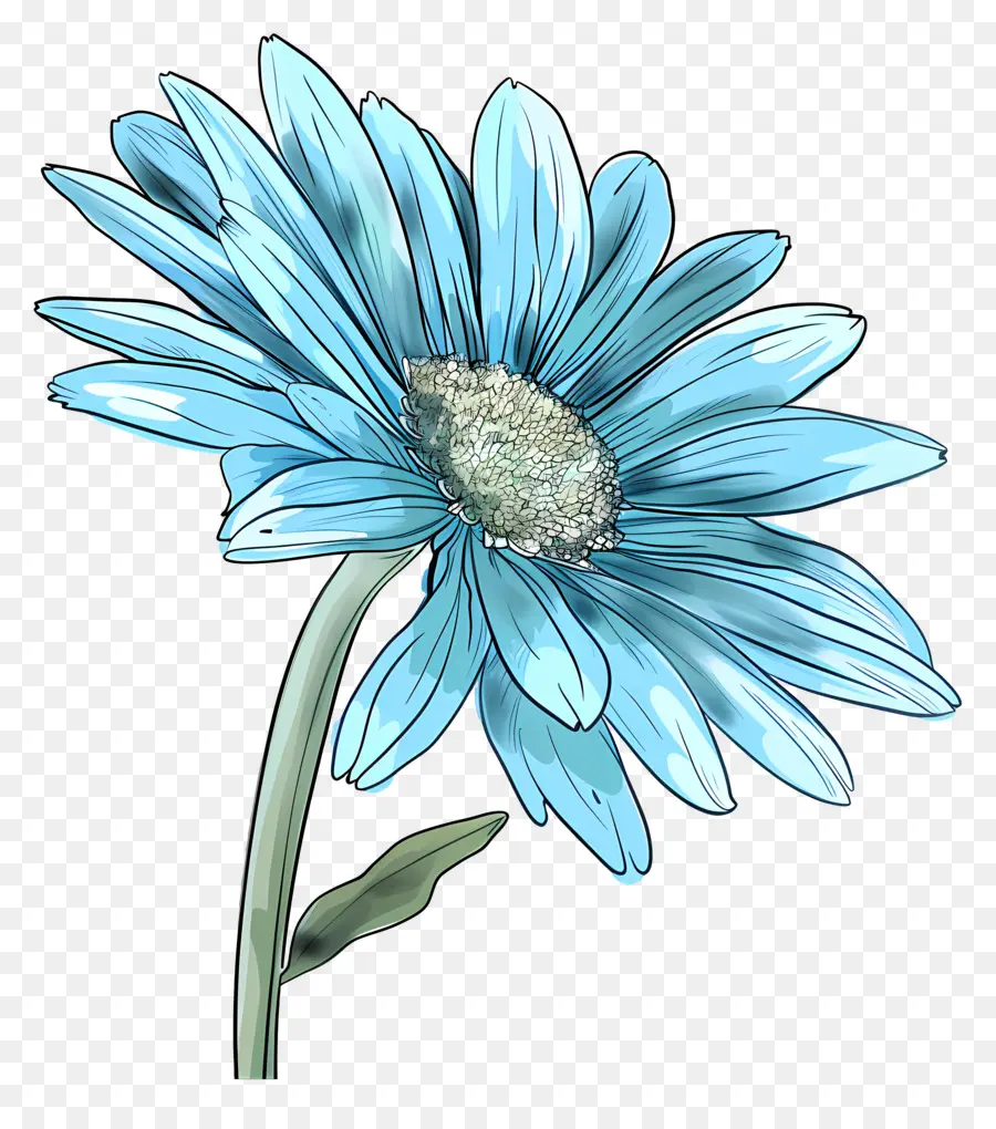 Gérbera Azul，Flor Azul PNG